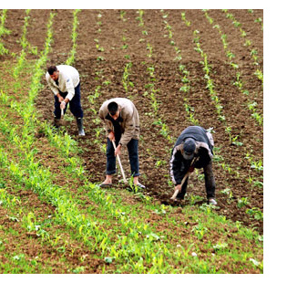 formation_agriculteurs