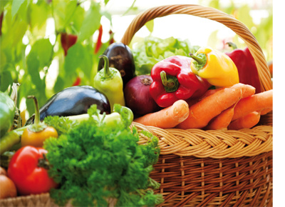 halo_sante_produits_bio halo_sante_produits_bio