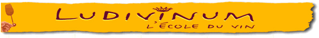 ludivinum_ecole_vin