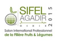 SIFEL