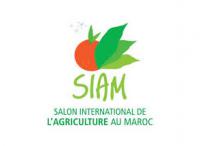SIAM