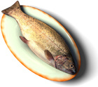 poisson_01