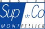 ecole de commerce, france, ESC Montpellier, formation internionale