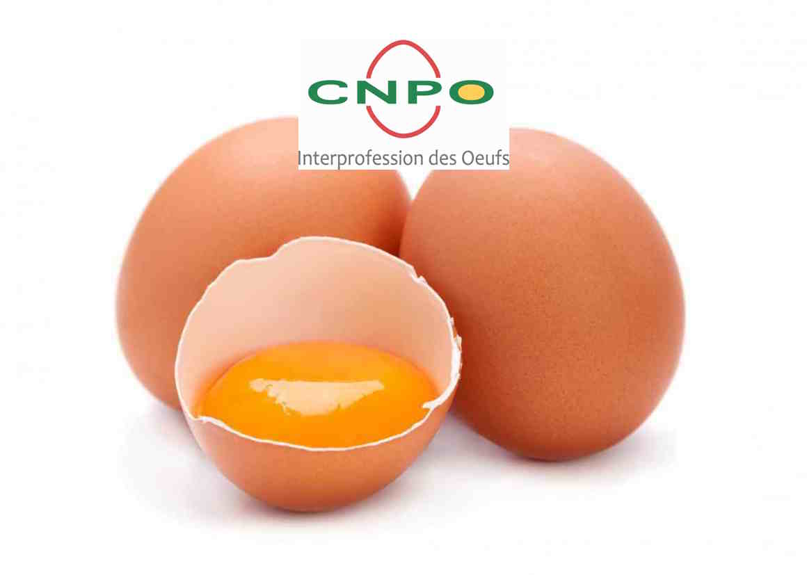 L'œuf coque - CNPO