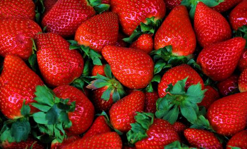 Un nouveau matériau prolonge la durée de conservation des fraises