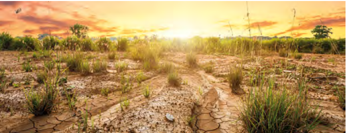 L’agro-industrie face à l’impact des changements  climatiques