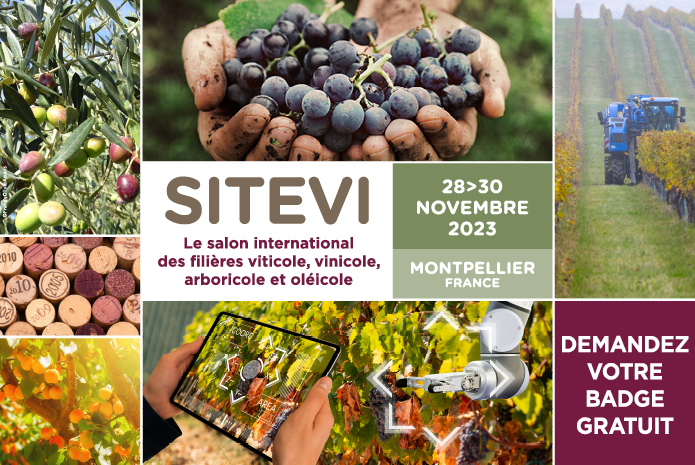 SETIVE 23